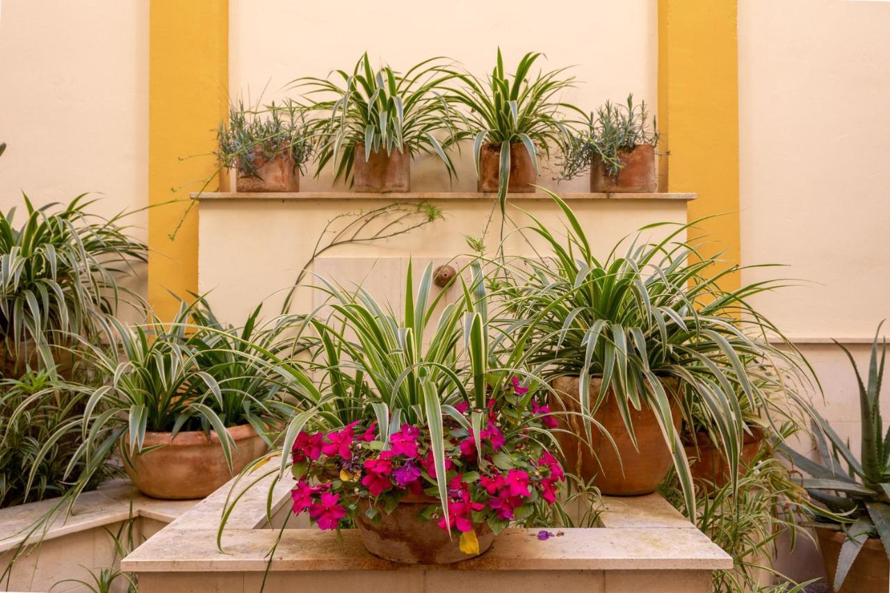 Ohliving Triana Appartement Sevilla